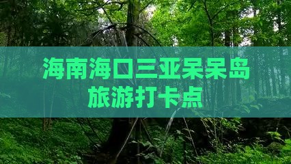 海口去三亚呆呆岛旅游打卡点