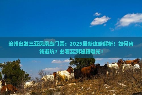 沧州出发三亚凤凰岛门票