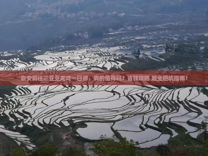 泰安前往三亚亚龙湾一日游