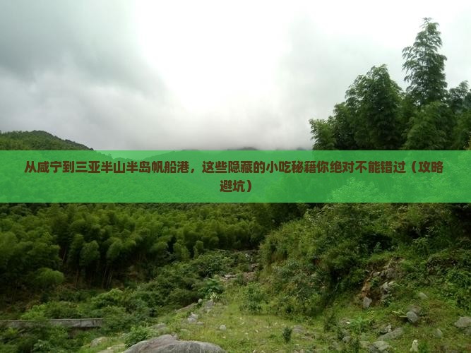 咸宁去三亚半山半岛帆船港旅游小吃