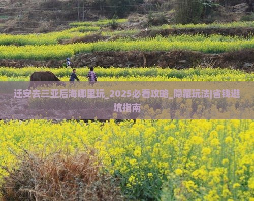 迁安去三亚后海哪里玩