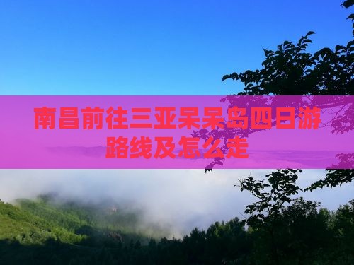 南昌前往三亚呆呆岛四日游