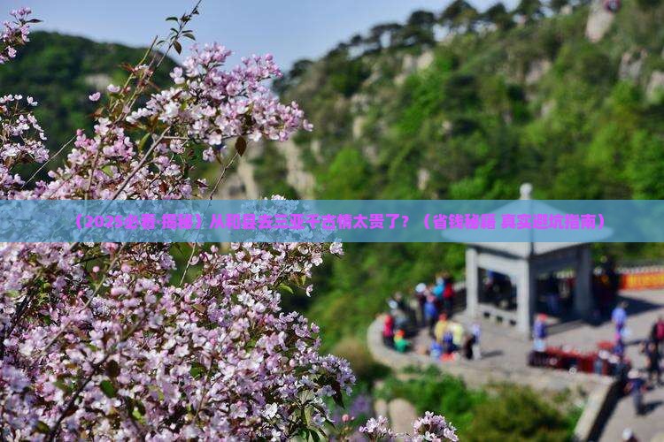 和县出发三亚千古情旅行社