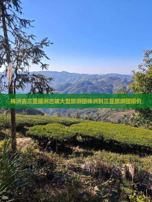 株洲去三亚崖洲古城大型旅游团
