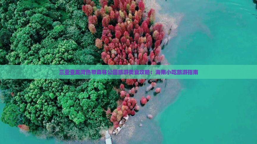 中卫前往三亚亚龙湾热带森林公园旅游小吃