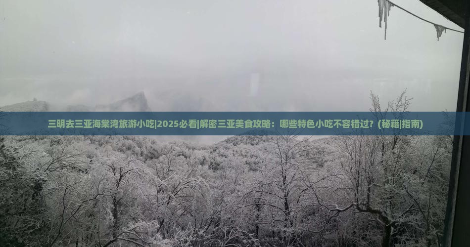三明去三亚海棠湾旅游小吃