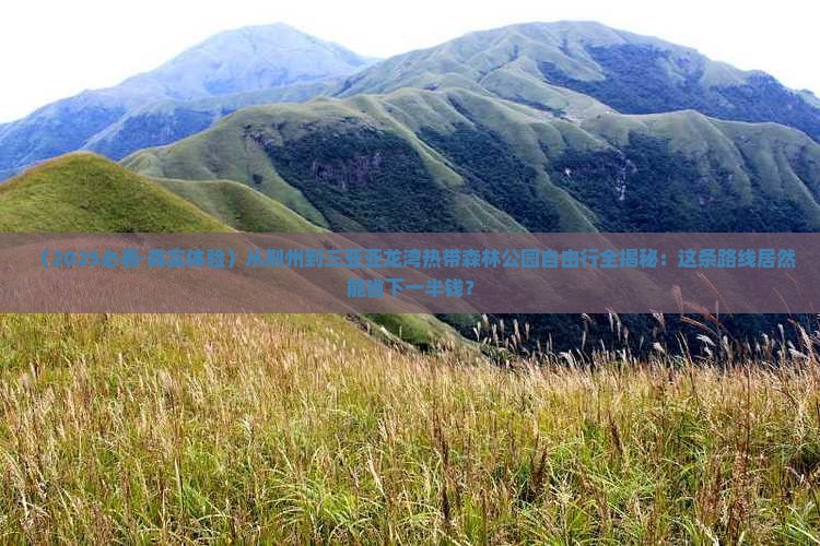 荆州出发三亚亚龙湾热带森林公园自由团