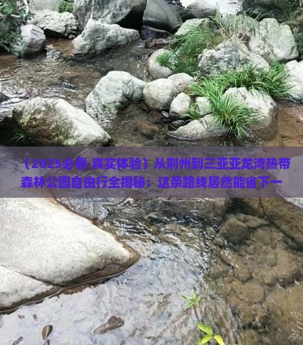 荆州出发三亚亚龙湾热带森林公园自由团