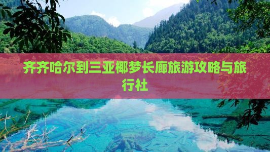 齐齐哈尔前往三亚椰梦长廊旅行社