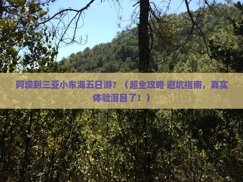 阿坝去三亚小东海五日游