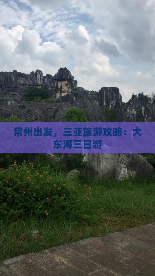 常州去三亚大东海三日游