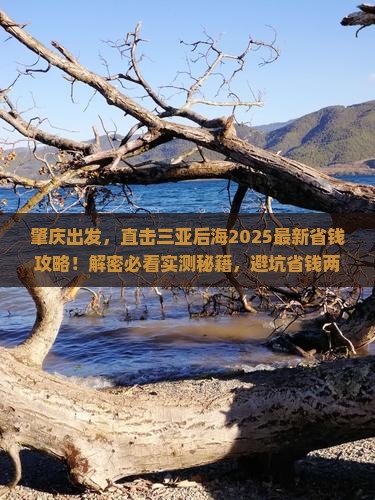 肇庆去三亚后海攻略