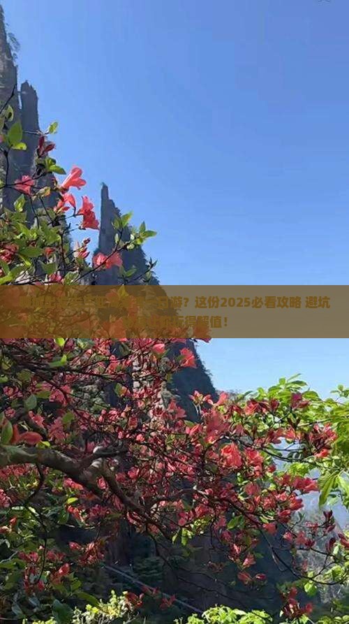 聊城前往三亚海棠湾一日游