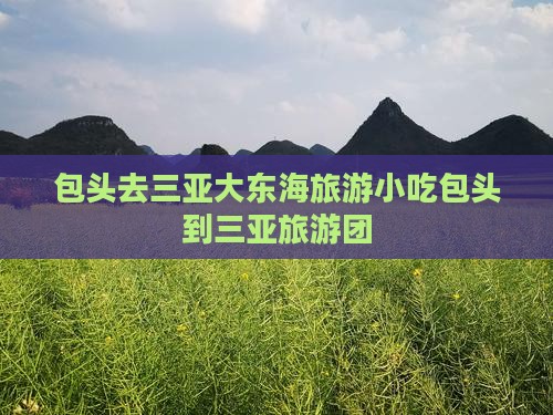 包头去三亚大东海旅游小吃
