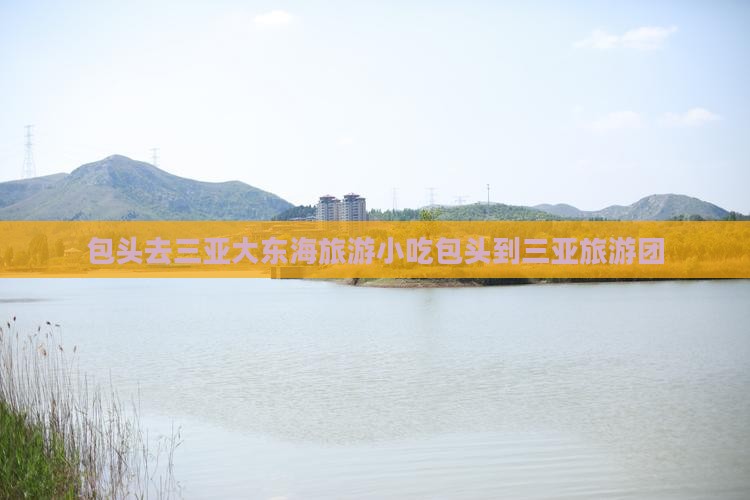 包头去三亚大东海旅游小吃