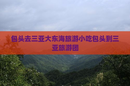 包头去三亚大东海旅游小吃