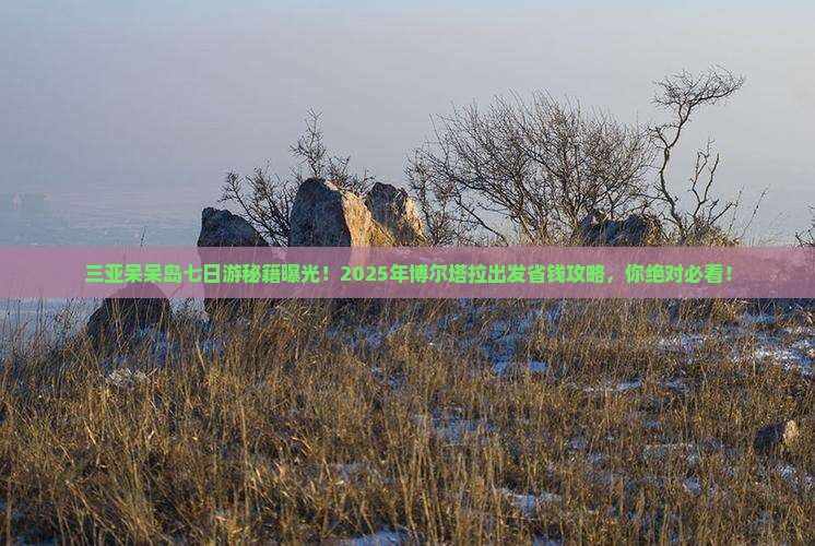 博尔塔拉出发三亚呆呆岛七日游
