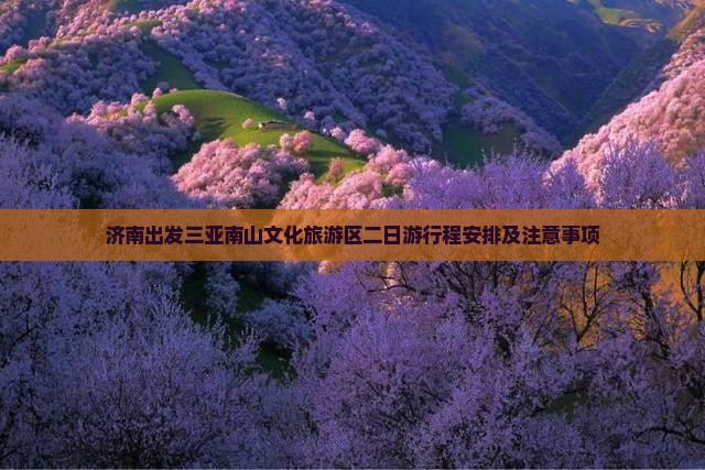 济南出发三亚南山文化旅游区二日游