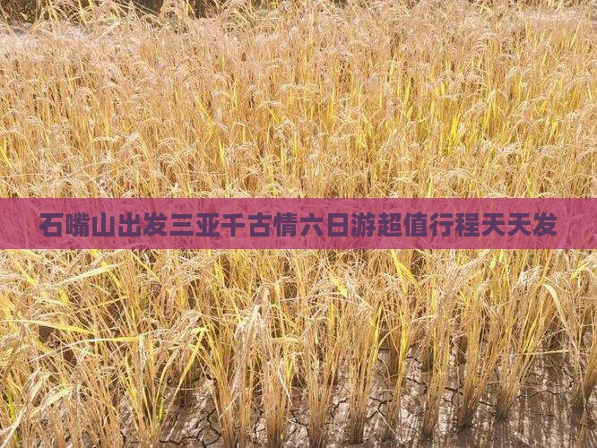 石嘴山出发三亚千古情六日游