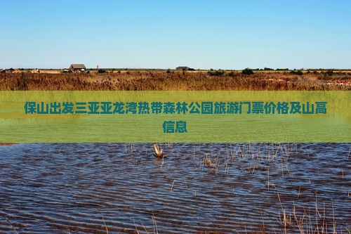 保山出发三亚亚龙湾热带森林公园旅游