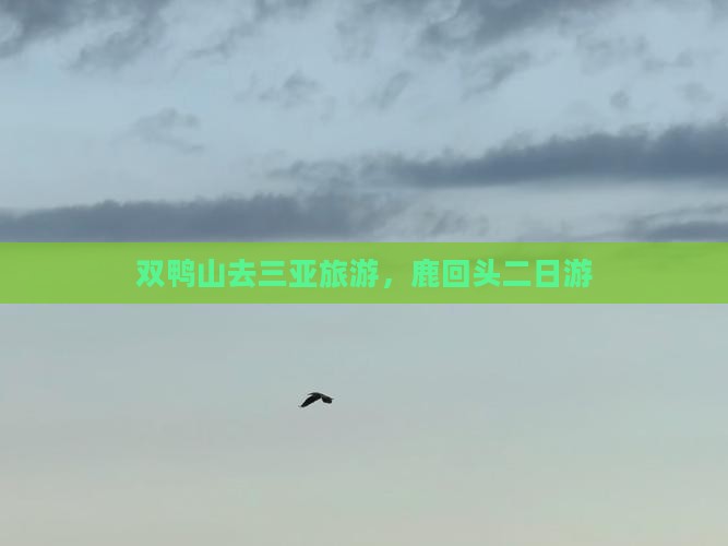 双鸭山去三亚鹿回头二日游