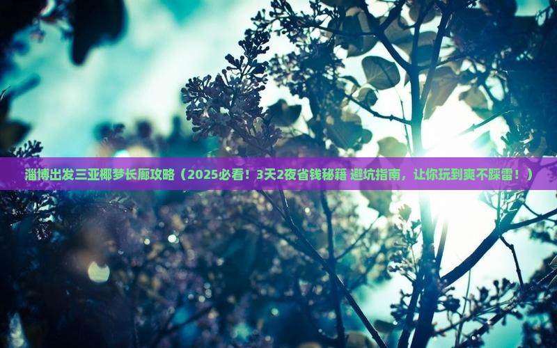 淄博出发三亚椰梦长廊攻略