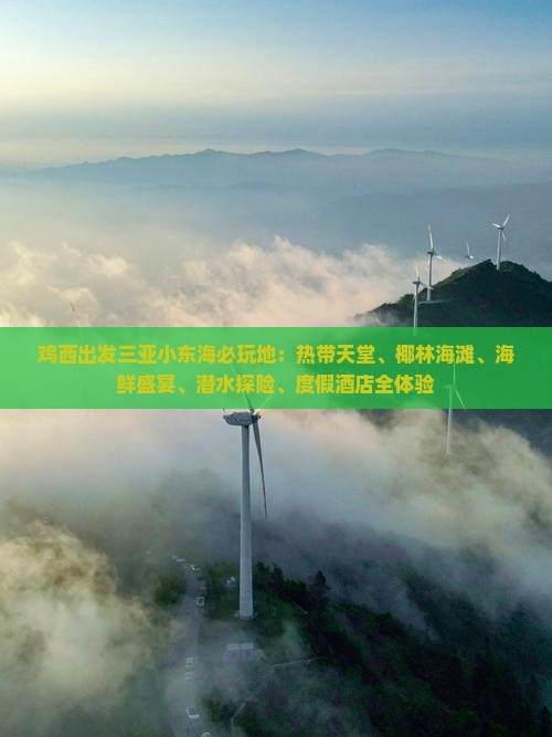 鸡西出发三亚小东海必玩地