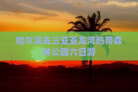 哈尔滨去三亚亚龙湾热带森林公园六日游
