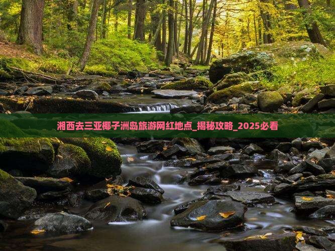 湘西去三亚椰子洲岛旅游网红地点