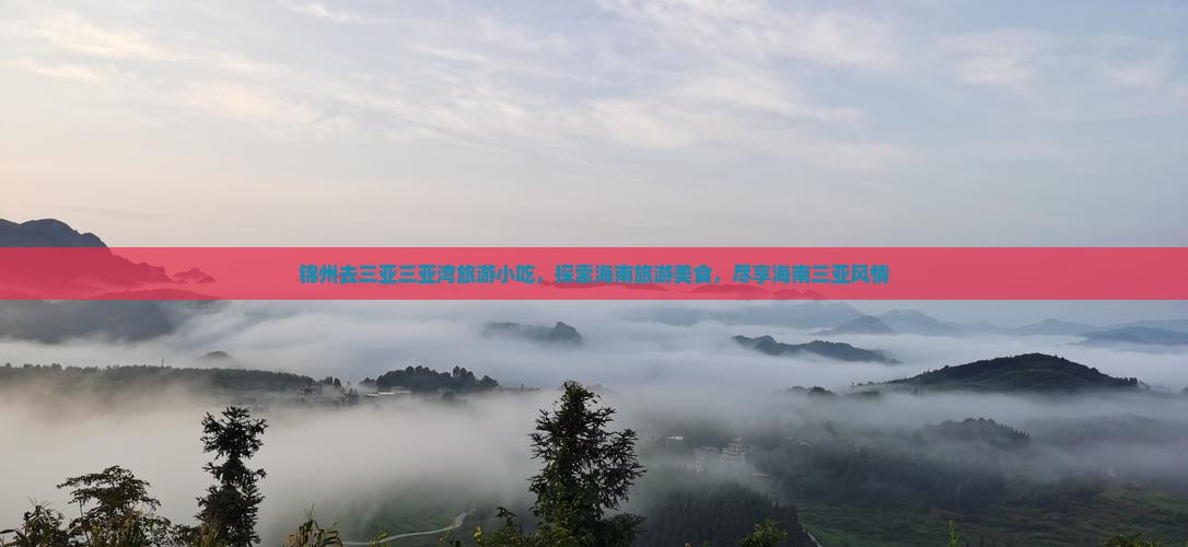 锦州去三亚三亚湾旅游小吃