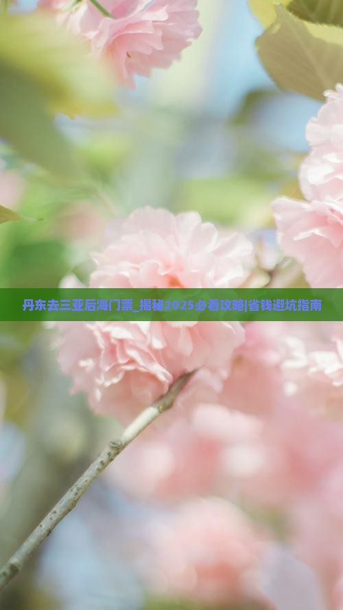 丹东去三亚后海门票