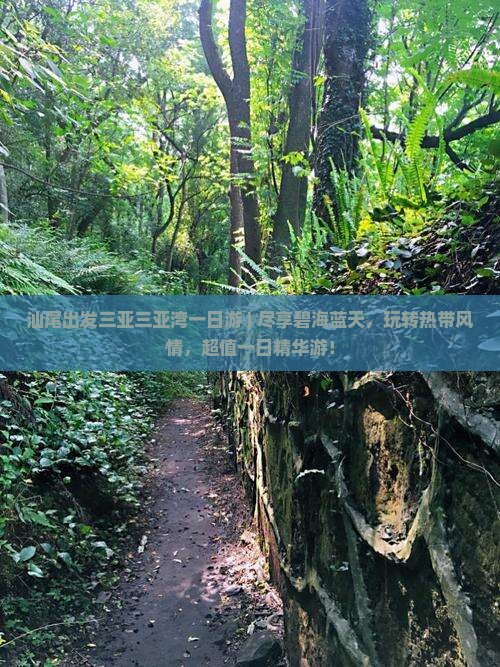 汕尾出发三亚三亚湾一日游