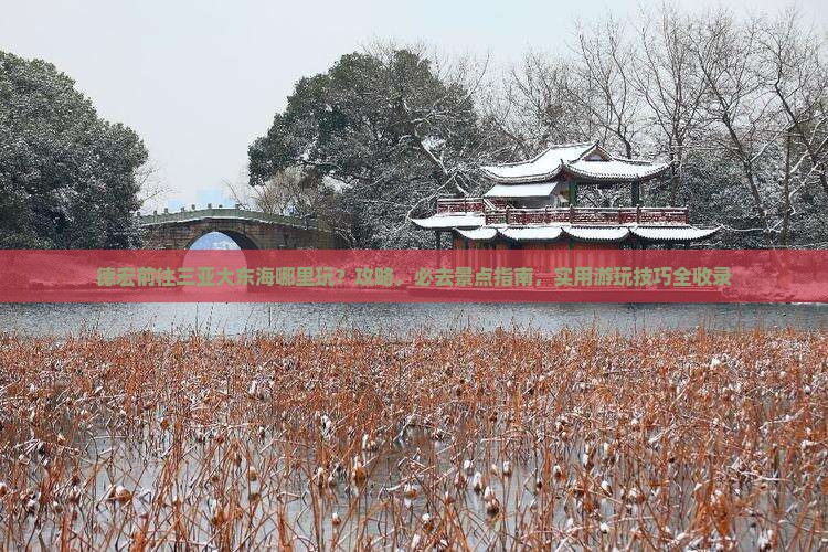 德宏前往三亚大东海哪里玩