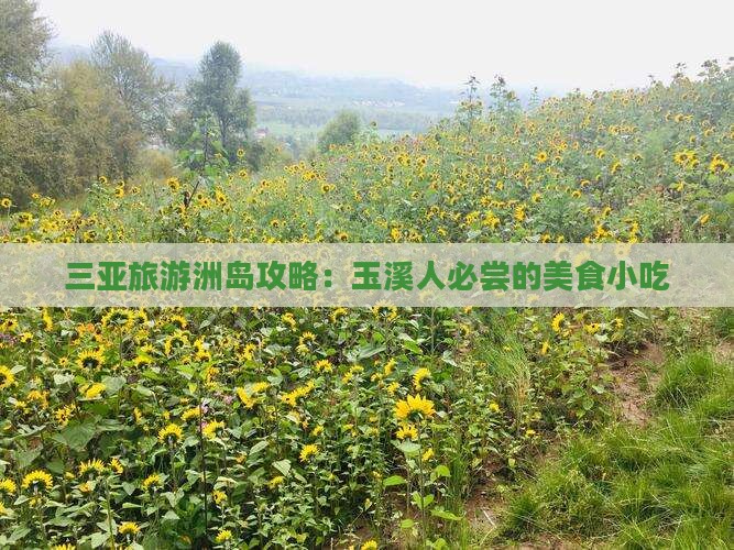 玉溪去三亚椰子洲岛旅游小吃