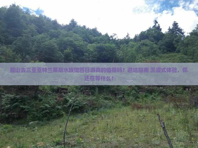 眉山前往三亚亚特兰蒂斯水族馆四日游