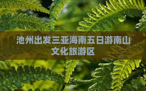 池州去三亚南山文化旅游区五日游