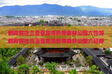 鹤岗前往三亚亚龙湾热带森林公园六日游