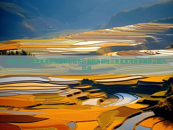 鹤岗前往三亚亚龙湾热带森林公园六日游