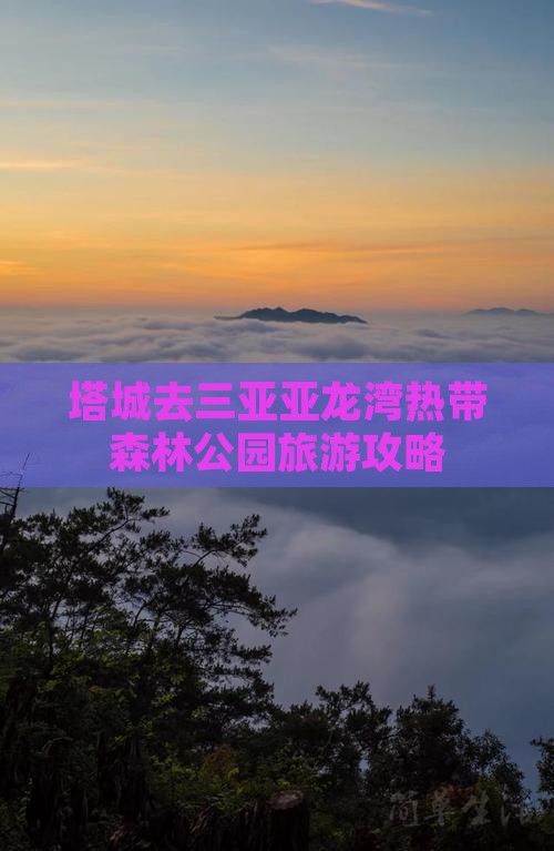 塔城去三亚亚龙湾热带森林公园自由行