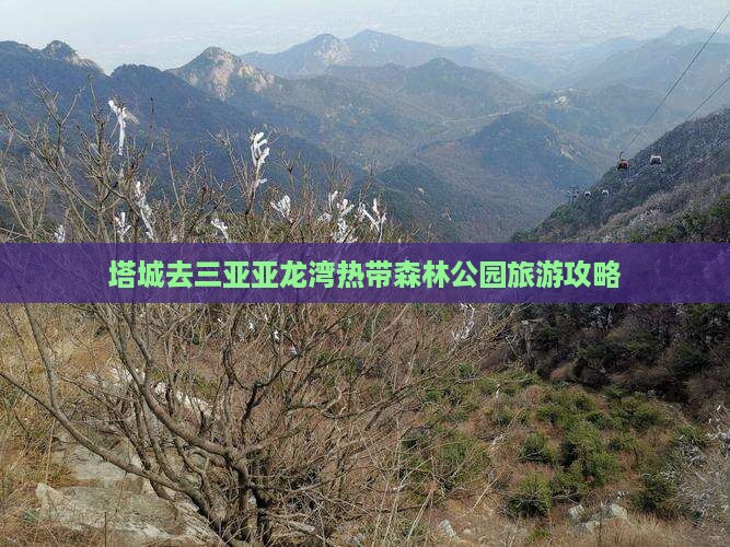 塔城去三亚亚龙湾热带森林公园自由行