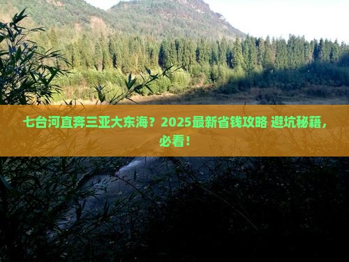 七台河前往三亚大东海攻略