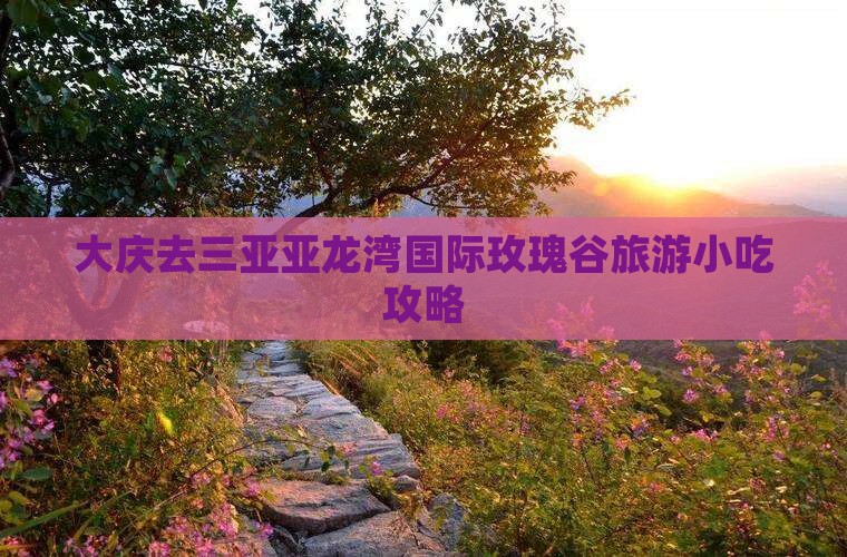 大庆去三亚亚龙湾国际玫瑰谷旅游小吃