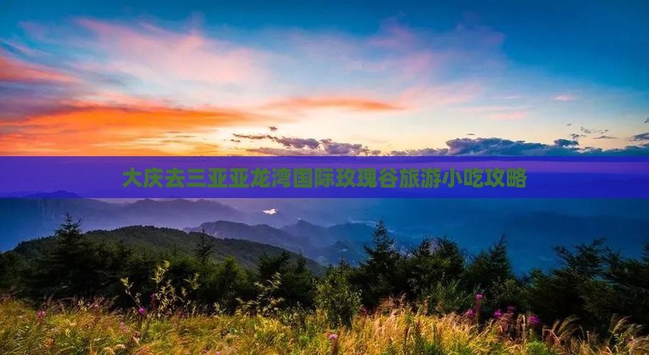 大庆去三亚亚龙湾国际玫瑰谷旅游小吃
