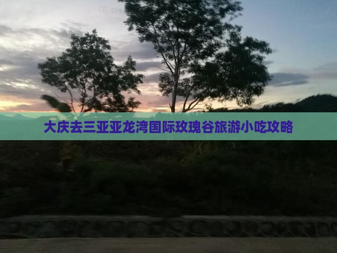 大庆去三亚亚龙湾国际玫瑰谷旅游小吃