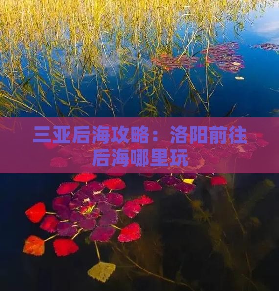 洛阳前往三亚后海哪里玩