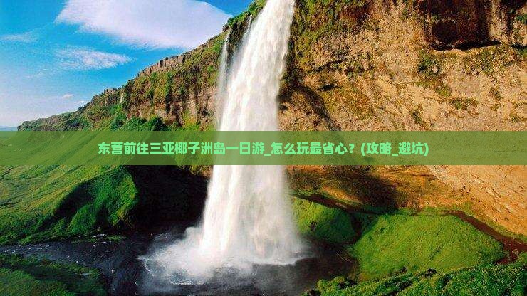 东营前往三亚椰子洲岛一日游