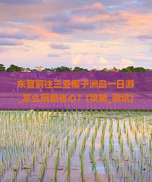 东营前往三亚椰子洲岛一日游