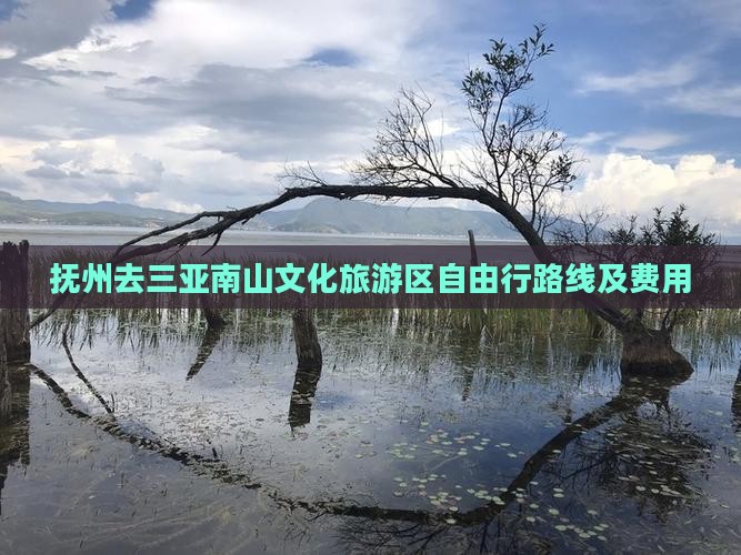 抚州去三亚南山文化旅游区自由行