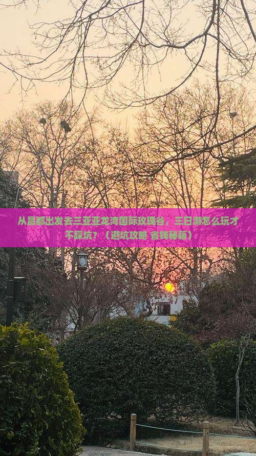 昌都前往三亚亚龙湾国际玫瑰谷三日游