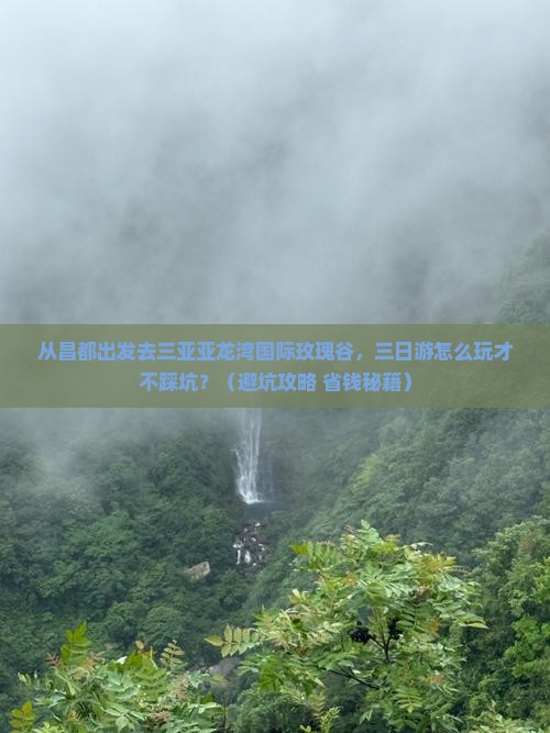 昌都前往三亚亚龙湾国际玫瑰谷三日游